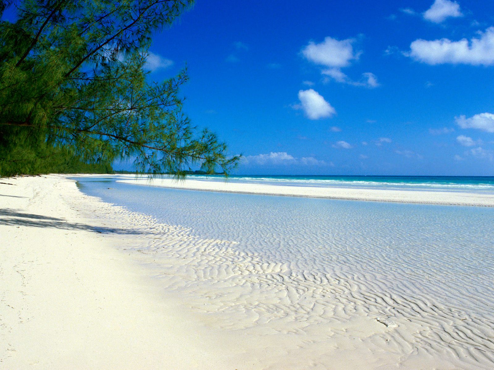 bahamas white beach