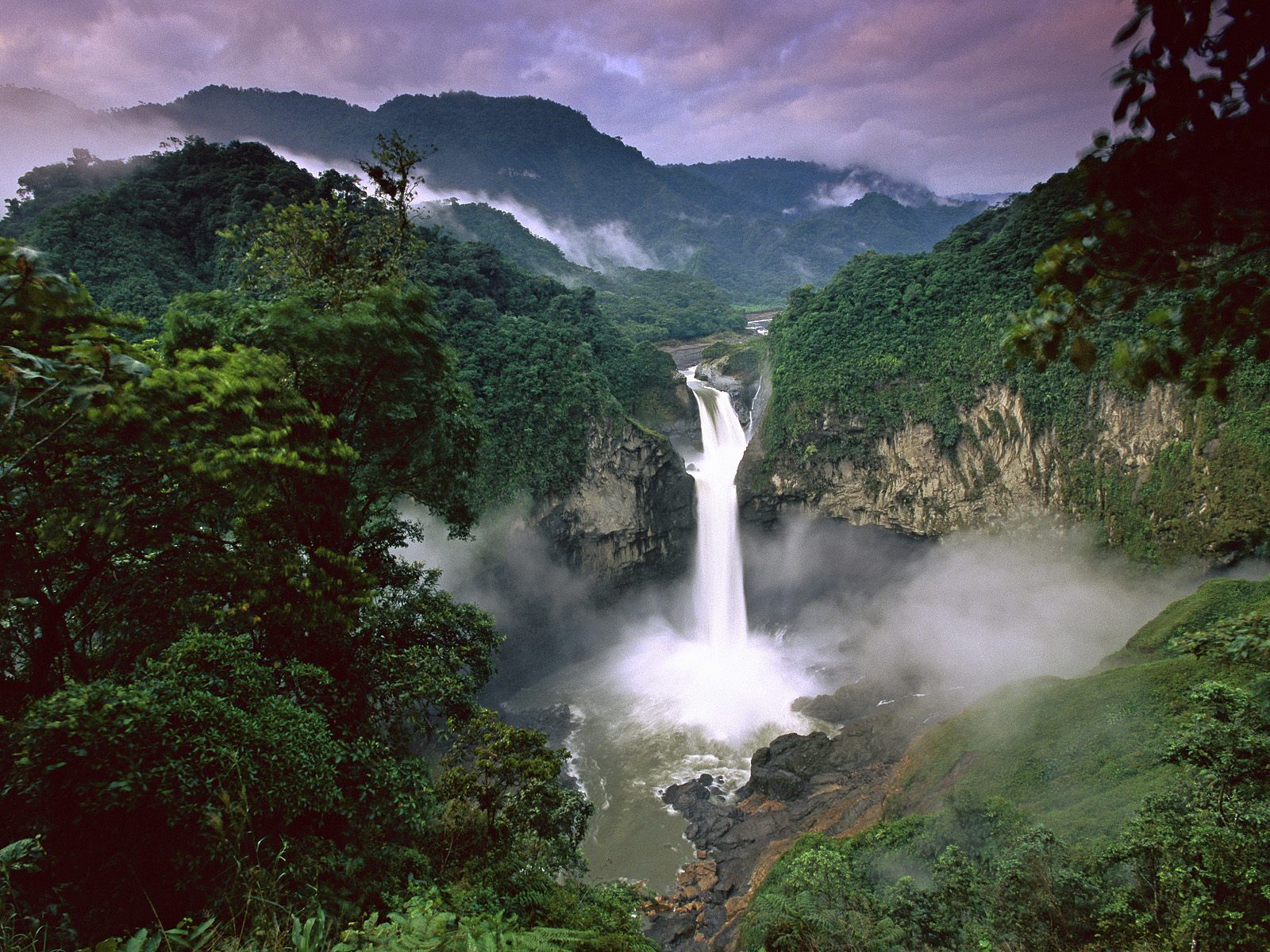 yasuni national park Ecuador