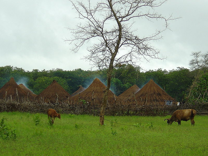 Guinea Bissau village
