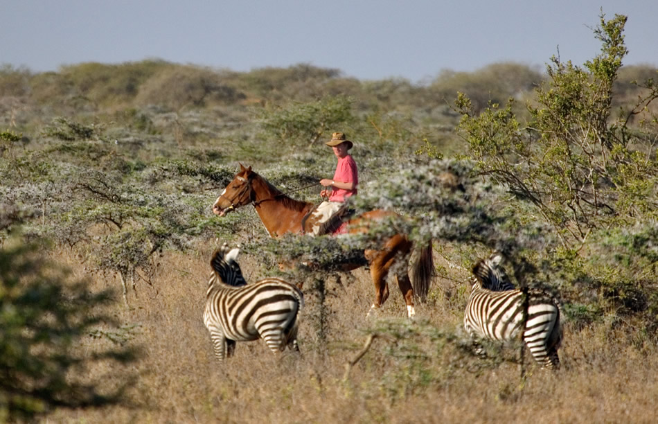horse riding zebra kenya