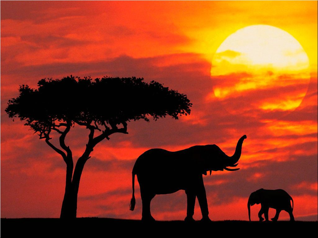 Silhouetted Kenya