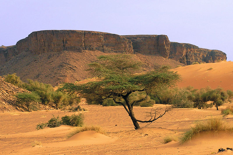 Mauritania Adrar