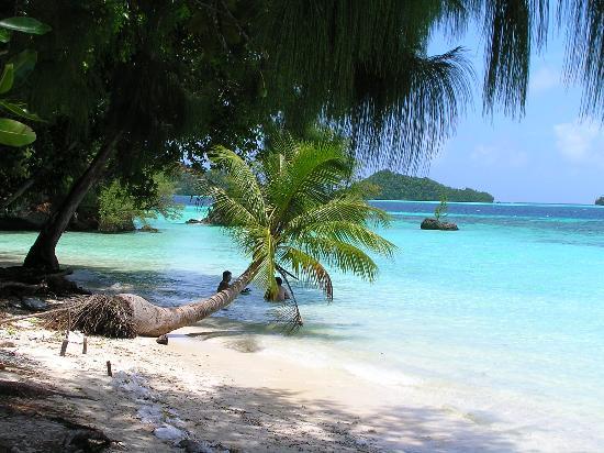 Palau vacation