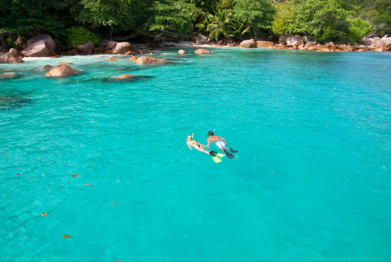 Seychelles swimming