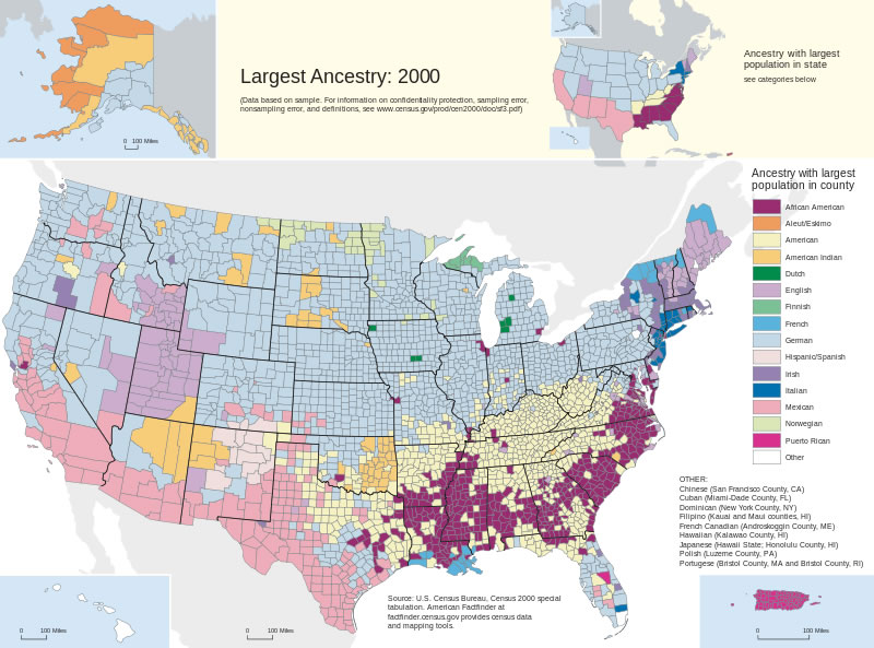 Census US Ancestries by County