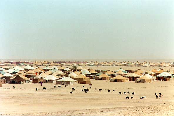 Plaatje Arno Western Sahara