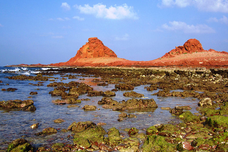 Di Hamri Coral Yemen