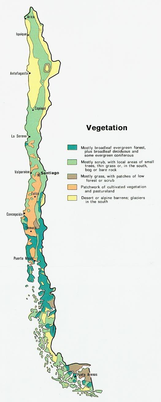 chile vegetation map 1972