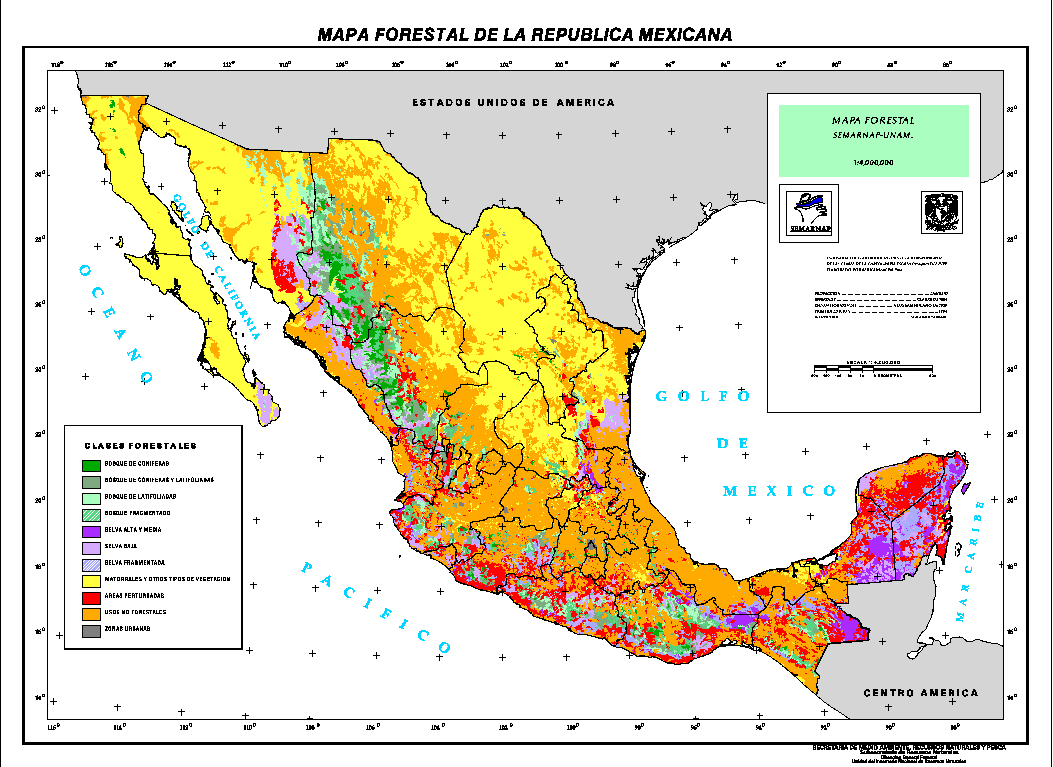 mexico map forest