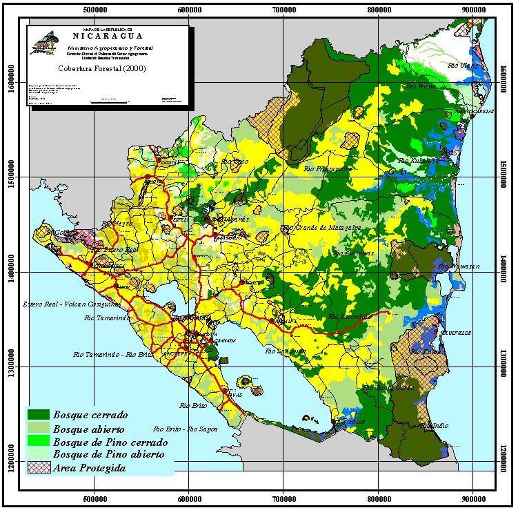 Nicaragua Forest Cover Map